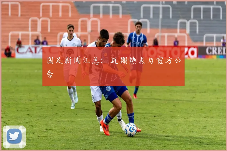 国足新闻汇总：近期热点与官方公告
